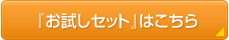 �e�T�C�Y1������̂������Z�b�g�͂�����